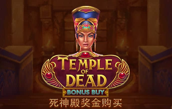中欧体育网页登入入口下载